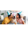 Kit de cumpleaños