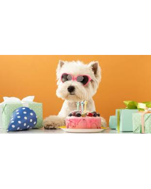 Kit de cumpleaños para perros | Fiestas Guau