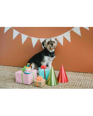 Decoracion cumpleaños de mascotas | Fiestas Guau