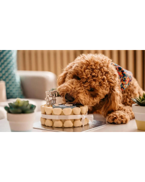 Tarta para gatos y perros | Fiestas Guau