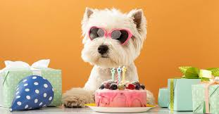 Servicios para celebraciones